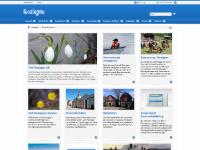 statistik för visitosthammar statistik för visitosthammar