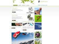  Handledning, KOGNITIV PSYKOTERAPI -KBT, Utbildning, Föreläsningar