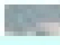 VYS - Villa&auml;garef&ouml;reningen Ystads Sandskog