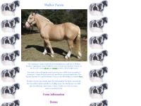 walkerfarms.net Horses, Links, t-shirts