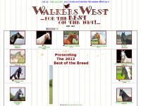 walkerswest.com Tennessee Walking horses, chat, breeding walkerswest.com Tennessee Walking horses, chat, breeding