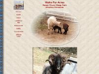 walksfaracres.com navajo churro sheep, pennsylvania sheep, navaho churro walksfaracres.com navajo churro sheep, pennsylvania sheep, navaho churro