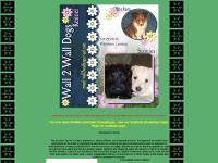 wall2walldogs.com Scotties, Scottish Terriers, puppy