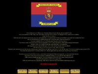 Surrey Army Cadet Force, Walton-on-Thames Detachment, Army Cadets information.