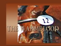 WarmBloods.net WarmBloods.net