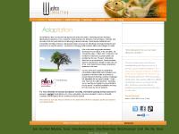 Website Development Website Development