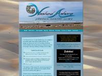 The Washed Ashore Project Home