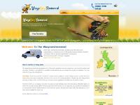  see pricing and order form, Wasp Nest Removal London, Wasp Stings &Treatment, Bee Stings &Treatment