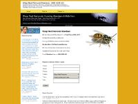 Wasp Nest Removal Aberdeen Call Free: 0800 0258 432