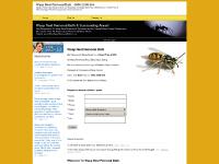 Wasp Nest Removal Bath Wasp Control Call Free: 0800 0258 664