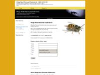 Wasp Nest Removal Chelmsford Call: 0800 0258 387 Wasp Nest Removal Chelmsford Call: 0800 0258 387