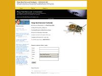 Wasp Nest Removal Chichester Call Free: 0800 0258 364
