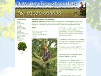 waveneytrees.co.uk Tree, Surgeons, Norfolk