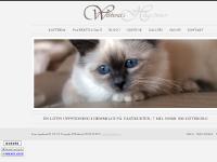 liten webberiet.se skärmbild