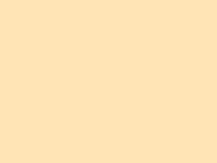 websidesearch.de websidesearch.de