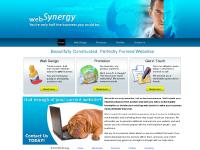websynergyuk.co.uk Web Design, Promotion, Portfolio