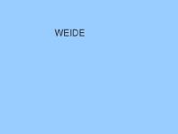 WEIDE WEIDE