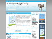 free to download, Go get it now, it’s free., Weimaraners free to download, Go get it now, it’s free., Weimaraners