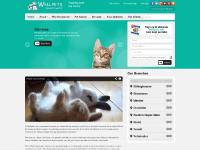 Home | Wellpets Animal Hospital Home | Wellpets Animal Hospital