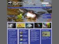 Home | The Wildlife Trust of South and West WalesThe Wildlife Trust of South and West Wales