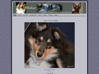  ~Miniaturepinscher~, ~Rough Collie~, ~Puppies~, ~Litter~