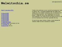 Welwitschia mirabilis