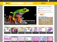 wesapiens.org Classes, Articles, -&nbsp;Human Anatomy