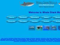 Whale Shark Watch