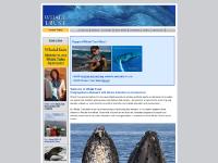 Whale Trust - Bridging Marine Research with Marine Education & Conservation Whale Trust - Bridging Marine Research with Marine Education & Conservation