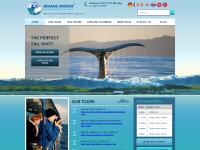 New Zealand Attractions | Kaikoura Whale Watching New Zealand Attractions | Kaikoura Whale Watching
