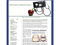 What Causes High Blood Pressure What Causes High Blood Pressure