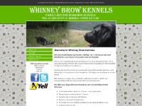 whinneybrowkennels.co.uk GALLERY, HOW TO FIND US, Affordable Web Design whinneybrowkennels.co.uk GALLERY, HOW TO FIND US, Affordable Web Design