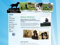 Dog Kennel Team Belfast, Dog Kennel Links Dog Kennel Team Belfast, Dog Kennel Links