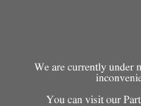 Quantum Pendant, EFX Bracelet, Scalar Energy & Fusion Excel Quantum Science Pendant Buy Cheap - WholesalePendant.org