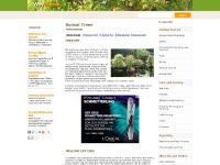 why-bonsai.com why bonsai tree information history trees japan specimens growing training pots hobby style trained japanese groomed shaped misconceptions indoor outdoor appreciating material exhibitions books collection dwarf watering feeding repotting horticultural technique gardeners branch root shoot pruning techniques