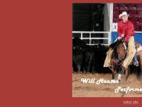 Will Hanson Performance Horses - Will Cutting Will Hanson Performance Horses - Will Cutting