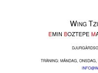 liten wingtzun.se skärmbild