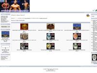wwebelts.com - wwebelts wwebelts.com - wwebelts