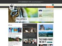 wwf.org.uk wwf.org.uk