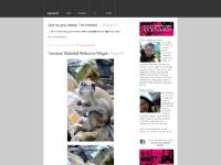 wysard.wordpress.com wysard, Copyrights, mixtape