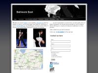 xaviernavarredance.co.uk