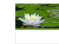 statistik för xerko - xerko.se statistik för xerko - xerko.se