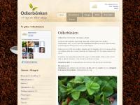 Odlarbänken, lättskött även för rörelsehindradOdlarbänken