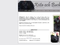 statistik för xsitaochbucks - Xsita och Bucks statistik för xsitaochbucks - Xsita och Bucks