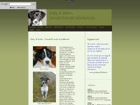 Sally & Bella - Dansk/Svensk Gårdshund / www.folbert.se - KENNEL FOLBERT