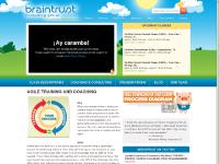 The Braintrust Consulting Group - Project Management Consulting