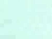 Välkommen till Y-stammens kennel Välkommen till Y-stammens kennel