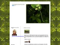 yvonneoscarsson.blogg.se yvonneoscarsson, Allmänt, Trackbacks () yvonneoscarsson.blogg.se yvonneoscarsson, Allmänt, Trackbacks ()