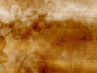 zacagnino - La P&aacute;gina de Ana Mar&iacute;a Zacagnino