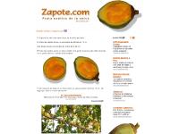 Zapote Fruta exótica de la selva de Perú - sapote fruta y arbol de zapote Zapote Fruta exótica de la selva de Perú - sapote fruta y arbol de zapote